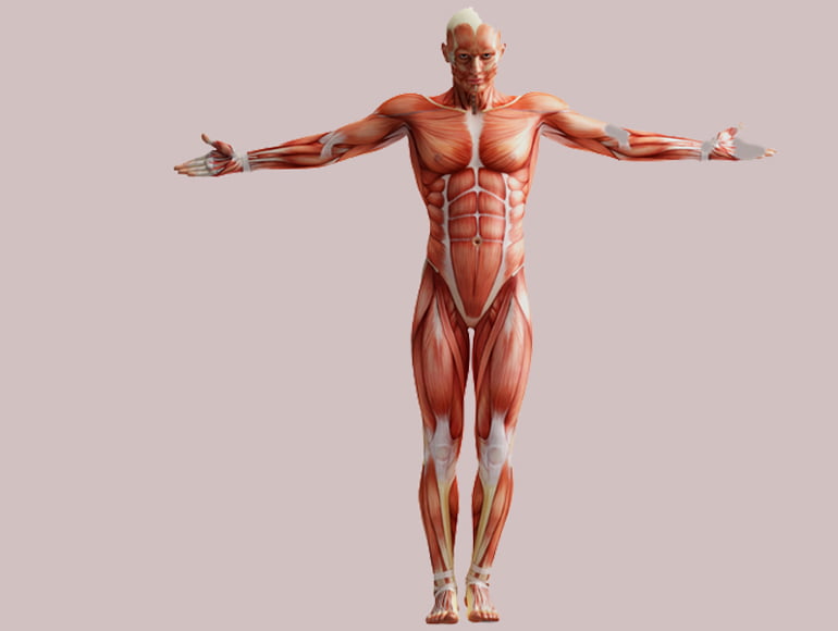 lenf-sistemi-slider-4